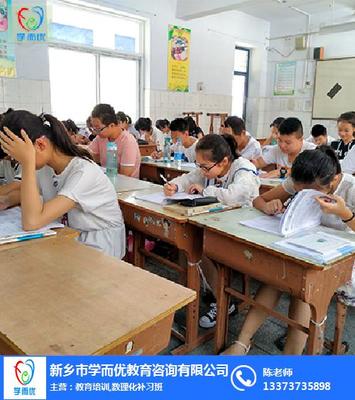 初中數(shù)學(xué)輔導(dǎo)課時(shí)費(fèi)詳解及新鄉(xiāng)學(xué)而優(yōu)教育咨詢(xún)服務(wù)介紹